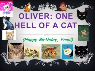 OLIVER: ONE
HELL OF A CAT
 (Happy Birthday, Fran!)
 