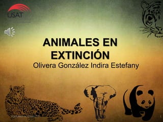 ANIMALES EN
EXTINCIÓN
POGRAMA DE COMPUTO I 1
Olivera González Indira Estefany
 