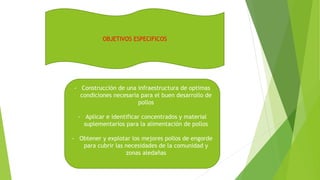 OBJETIVOS ESPECIFICOS
- Construcción de una infraestructura de optimas
condiciones necesaria para el buen desarrollo de
pollos
- Aplicar e identificar concentrados y material
suplementarios para la alimentación de pollos
- Obtener y explotar los mejores pollos de engorde
para cubrir las necesidades de la comunidad y
zonas aledañas
 