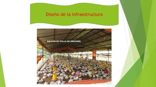 Diseño de la infraestructura
 