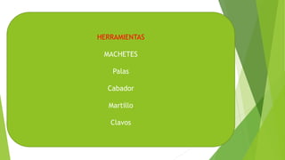 HERRAMIENTAS
MACHETES
Palas
Cabador
Martillo
Clavos
 