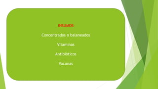 INSUMOS
Concentrados o balaneados
Vitaminas
Antibióticos
Vacunas
 