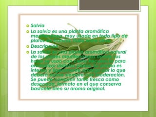  Salvia
 La salvia es una planta aromática
mediterránea, muy usada en todo tipo de
platos en Francia, Italia entre otros.
 Descripción
 La salvia es una planta aromática natural
de los países mediterráneos donde sus
hojas se usan con cierta frecuencia para
aromatizar distintos platos. Su aroma es
intenso y ligeramente amargo por lo que
deberá usarse siempre con moderación.
Se puede consumir tanto fresca como
desecada, formato en el que conserva
bastante bien su aroma original.
 