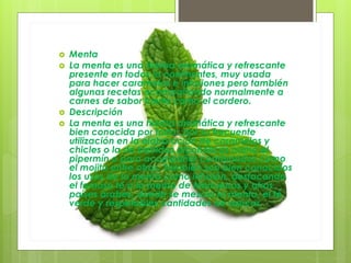  Menta
 La menta es una hierba aromática y refrescante
presente en todos lo continentes, muy usada
para hacer caramelos e infusiones pero también
algunas recetas acompañando normalmente a
carnes de sabor fuerte como el cordero.
 Descripción
 La menta es una hierba aromática y refrescante
bien conocida por todos por su frecuente
utilización en la elaboración de caramelos y
chicles o la de bebidas alcohólicas como el
pipermín o para acompañar combinados como
el mojito entre otros. También son bien conocidos
los usos de la menta como infusión, destacando
el famoso té a la menta de Marruecos y otros
países árabes, donde se mezcla la menta, el té
verde y respetables cantidades de azúcar.
 