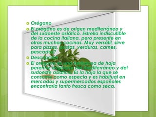  Orégano
 El orégano es de origen mediterráneo y
del sudoeste asiático. Estrella indiscutible
de la cocina italiana, pero presente en
otras muchas cocinas. Muy versátil, sirve
para pizzas, pastas, verduras, carnes,
pescados?
 Descripción
 El orégano es una herbácea de hoja
perenne originaria del mediterráneo y del
sudoeste asiático. Es la hoja la que se
consume como especia y es habitual en
mercados y supermercados españoles
encontrarla tanto fresca como seca.
 