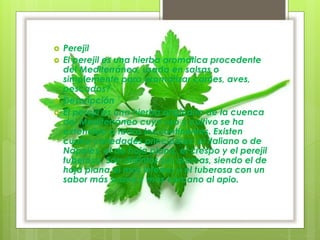  Perejil
 El perejil es una hierba aromática procedente
del Mediterráneo, usada en salsas o
simplemente para aromatizar carnes, aves,
pescados?
 Descripción
 El perejil es una hierba originaria de la cuenca
del Mediterráneo cuyo uso y cultivo se ha
extendido a todos los continentes. Existen
cuatro variedades principales: el italiano o de
Nápoles, el de hoja plana, el crespo y el perejil
tuberosa. Son distintos sus aromas, siendo el de
hoja plana el más intenso y el tuberosa con un
sabor más suave y más cercano al apio.
 