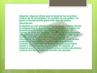 Sésamo: Algunos dicen que el sésamo fue el primer
cultivo de la humanidad. Su semilla se usa entera, en
pasta o hecha aceite para todo tipo de platos.
Descripción
El sésamo es una planta cultivada por el hombre desde
la antigüedad lo que explica su presencia y cultivo en
prácticamente todas las regiones del mundo. En
cocina se usan sus semillas, que son extremadamente
oleaginosas. Con un 50% de su masa en aceite, es la
semilla con mayor contenido en grasa de la
naturaleza. Su sabor es muy característico y se realza
cuando se tuesta, algo que se suele hacer tanto
cuando se consumen enteras o molidas para hacer
aceite o tahina (pasta de sésamo). En España, al
sésamo que se usa para espolvorear encima de dulces
y panes recibe también el nombre de ajonjolí.
 