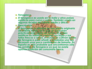  Fenogreco
 El fenogreco es usado en la India y otros países
asiáticos para currys y salsas. También usado en
algunas recetas de oriente medio y áfrica.
 Descripción
 El fenogreco (o alholva) es una planta originaria
de oriente medio de la que se consumen
prácticamente todas sus partes. En países
asiáticos es habitual consumir sus hojas y sus
tallos frescos o secos, e incluso se cultivan brotes
de fenogreco para añadir a ensaladas una vez
alcanzan unos poco centímetros de tamaño. En
España es más probable que encontremos sólo
las semillas de fenogreco ya que no existe
apenas tradición de consumirlo fresco.
 