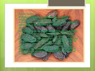  Haba tonka
 El haba tonka es la semilla de un árbol
originario de las Antillas y partes del
Amazonas, usada en repostería por su sabor
parecido a la vainilla y la canela.
 Descripción
 La sarrapia es un árbol originario de la Antillas
y del Amazonas y se llama haba tonka a la
semilla de su fruto. El árbol, de gran tamaño,
da unos frutos verdes que recuerdan en forma
y color a la almendra fresca cuando todavía
está en el árbol. Se recogen los frutos y se
dejan secar al sol donde la semilla sufre un
proceso de fermentación. Luego, se parte la
pulpa y se extrae la semilla que es la que se
comercializa.
 