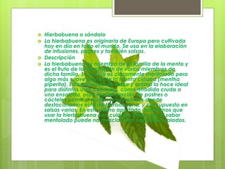  Hierbabuena o sándalo
 La hierbabuena es originaria de Europa pero cultivada
hoy en día en todo el mundo. Se usa en la elaboración
de infusiones, postres y también salsas.
 Descripción
 La hierbabuena es miembro de la familia de la menta y
es el fruto de la hibridación de varios miembros de
dicha familia. Su aroma es claramente mentolado pero
algo más suave que el de la menta clásica (mentha
piperita). Esta suavidad de sabor y aroma la hace ideal
para distintos usos culinarios, como añadida cruda a
una ensalada, para la elaboración de postres o
cócteles como el mojito, las infusiones donde
destacaríamos el té de hierbabuena, y por supuesto en
salsas varias. En este último apartado, tendremos que
usar la hierbabuena con cuidado dado que el sabor
mentolado puede no mezclar bien con platos salados.
 