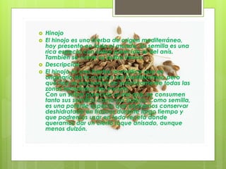  Hinojo
 El hinojo es una hierba de origen mediterráneo,
hoy presente en todo el mundo. Su semilla es una
rica especia con sabor parecido al del anís.
También se come su bulbo fresco.
 Descripción
 El hinojo es una hierba aromática que es
originaria de la cuenca del Mediterráneo pero
que hoy se encuentra en prácticamente todas las
zonas templadas del mundo.
Con un sabor parecido al del anís, se consumen
tanto sus semillas como sus bulbos. Como semilla,
es una potente especia que podremos conservar
deshidratada en frascos durante largo tiempo y
que podremos usar en toda receta donde
queramos dar un cierto toque anisado, aunque
menos dulzón.
 