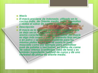  Macis
 El macis proviene de Indonesia, utilizado en la
cocina India, de Oriente medio, India. Aromatiza
y realza el sabor de carnes y algunas verduras.
 Descripción
 El macis es la cáscara de la nuez moscada que
se deja secar. Comparte con ella el mismo
aroma característico, aunque el sabor del macis
es algo más suave y sutil. Se presenta tiras secas
o en polvo y se usa esencialmente para los
mismos platos en los que se usaría la nuez
moscada como por ejemplo para aromatizar
puré de patatas o bechamel, en platos de carne
de sabor intenso (carrilladas, rabo de toro) y es
también ingrediente habitual de currys y de una
variedad de platos de oriente medio.
 