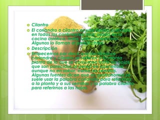  Cilantro
 El coriandro o cilantro es una hierba cultivada
en todos los continentes, muy usada en la
cocina asiática, India, Latinoamericana.
Algunos lo llaman el perejil chino.
 Descripción
 Empecemos por decir que los términos
coriandro y cilantro se refieren a la misma
planta de la que se consumen tanto las hojas,
que son parecidas al perejil en apariencia
aunque no en sabor, como las semillas.
Algunas fuentes dicen que en gastronomía se
suele usar la palabra coriandro para referirnos
a la planta y a sus semillas y la palabra cilantro
para referirnos a las hojas.
 