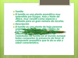  Tomillo
 El tomillo es una planta aromática muy
extendida por Europa, Asia y Norte de
África, muy versátil como especia y
utilizada para un gran número de recetas.
 Descripción
 El tomillo es una planta de hoja perenne
originaria de las zonas más cálidas de
Europa, del Norte de África y Oriente
próximo. Existe un gran número de
variedades de tomillo en el mundo aunque
todos comparten la presencia de timol, el
compuesto aromático que le da su olor y
sabor característico.
 
