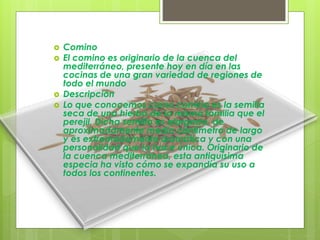  Comino
 El comino es originario de la cuenca del
mediterráneo, presente hoy en día en las
cocinas de una gran variedad de regiones de
todo el mundo
 Descripción
 Lo que conocemos como comino es la semilla
seca de una hierba de la misma familia que el
perejil. Dicha semilla es alargada, de
aproximadamente medio centímetro de largo
y es extremadamente aromática y con una
personalidad que la hace única. Originario de
la cuenca mediterránea, esta antiquísima
especia ha visto cómo se expandía su uso a
todos los continentes.
 