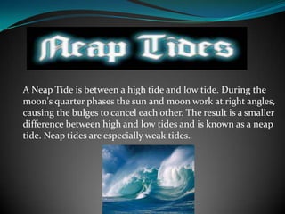 A Neap Tide is between a high tide and low tide. During the
moon's quarter phases the sun and moon work at right angles,
causing the bulges to cancel each other. The result is a smaller
difference between high and low tides and is known as a neap
tide. Neap tides are especially weak tides.
 