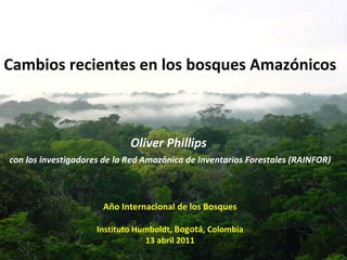 Cambios recientes en los bosques Amazónicos Oliver Phillips  con los investigadores de la Red Amaz ó nica de Inventarios Forestales (RAINFOR) Año Internacional de los Bosques Instituto Humboldt,  Bogotá , Colombia 13 abril 2011 