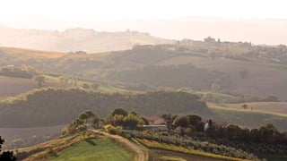 oLivery - Lonneke Mulder