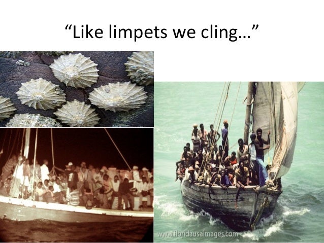 Meditation on yellow by olive senior 2 essay 05 picture