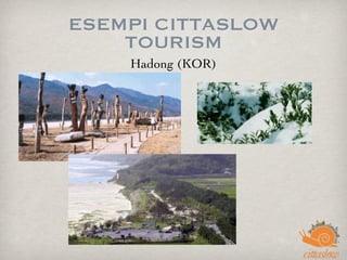 ESEMPI CITTASLOW
TOURISM
Hadong (KOR)
 