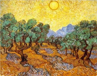 Olive Trees Sun Vincent Van Gogh 435x338