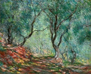 Olive Tree Wood Claude Monet 435x350