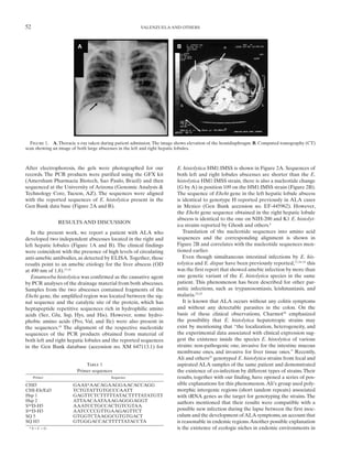 52                                                    VALENZUELA AND OTHERS




  Figure 1. A, Thoracic x-ray taken during patient admission. The image shows elevation of the hemidiaphragm. B, Computed tomography (CT)
scan showing an image of both large abscesses in the left and right hepatic lobules.



After electrophoresis, the gels were photographed for our              E. histolytica HM1:IMSS is shown in Figure 2A. Sequences of
records. The PCR products were purified using the GFX kit              both left and right lobules abscesses are shorter than the E.
(Amersham Pharmacia Biotech, Sao Paulo, Brazil) and then               histolytica HM1:IMSS strain, there is also a nucleotide change
sequenced at the University of Arizona (Genomic Analysis &             (G by A) in position 109 on the HM1:IMSS strain (Figure 2B).
Technology Core, Tucson, AZ). The sequences were aligned               The sequence of Ehcht gene in the left hepatic lobule abscess
with the reported sequences of E. histolytica present in the           is identical to genotype H reported previously in ALA cases
Gen Bank data base (Figure 2A and B).                                  in Mexico (Gen Bank accession no. EF-445962). However,
                                                                       the Ehcht gene sequence obtained in the right hepatic lobule
                                                                       abscess is identical to the one on NIH-200 and K1 E. histolyt-
               RESULTS AND DISCUSSION
                                                                       ica strains reported by Ghosh and others.4
   In the present work, we report a patient with ALA who                  Translation of the nucleotide sequences into amino acid
developed two independent abscesses located in the right and           sequences and the corresponding alignment is shown in
left hepatic lobules (Figure 1A and B). The clinical findings          Figure 2B and correlates with the nucleotide sequences men-
were coincident with the presence of high levels of circulating        tioned earlier.
anti-amebic antibodies, as detected by ELISA. Together, these             Even though simultaneous intestinal infections by E. his-
results point to an amebic etiology for the liver abscess (OD          tolytica and E. dispar have been previously reported,17,19–21 this
at 490 nm of 1.8).15,16                                                was the first report that showed amebic infection by more than
   Entamoeba histolytica was confirmed as the causative agent          one genetic variant of the E. histolytica species in the same
by PCR analyses of the drainage material from both abscesses.          patient. This phenomenon has been described for other par-
Samples from the two abscesses contained fragments of the              asitic infections, such as trypanosomiasis, leishmaniasis, and
Ehcht gene, the amplified region was located between the sig-          malaria.22,23
nal sequence and the catalytic site of the protein, which has             It is known that ALA occurs without any colitis symptoms
heptapeptide repetitive sequences rich in hydrophilic amino            and without any detectable parasites in the colon. On the
acids (Ser, Glu, Ssp, Hys, and His). However, some hydro-              basis of these clinical observations, Charmot24 emphasized
phobic amino acids (Pro, Val, and Ile) were also present in            the possibility that E. histolytica hepatotropic strains may
the sequences.18 The alignment of the respective nucleotide            exist by mentioning that “the localization, heterogeneity, and
sequences of the PCR products obtained from material of                the experimental data associated with clinical expression sug-
both left and right hepatic lobules and the reported sequences         gest the existence inside the species E. histolytica of various
in the Gen Bank database (accession no. XM 647113.1) for               strains: non-pathogenic one, invasive for the intestine mucous
                                                                       membrane ones, and invasive for liver tissue ones.” Recently,
                                                                       Ali and others25 genotyped E. histolytica strains from fecal and
                            Table 1                                    aspirated ALA samples of the same patient and demonstrated
                        Primer sequences                               the existence of co-infection by different types of strains. Their
     Primer                             Sequence                       results, together with our finding, have opened a series of pos-
CHI5                  GAAS*AACAGAAGGAACACCAGG                          sible explanations for this phenomenon. Ali’s group used poly-
CHI-Eh/Ed3            TCTGTATTGTGCCCAATT                               morphic intergenic regions (short tandem repeats) associated
Hsp 1                 GAGTTCTCTTTTTATACTTTTATATGTT                     with tRNA genes as the target for genotyping the strains. The
Hsp 2                 ATTAACAATAAAGAGGGAGGT                            authors mentioned that their results were compatible with a
StgaD-H5              AAATCCTGCCACTGTCGTAA
StgaD-H3              AATCCCCGTTGAAGAGTTCT                             possible new infection during the lapse between the first inoc-
SQ 5                  GTGGTCTAAGGCGTGTGACT                             culum and the development of ALA symptoms, an account that
SQ H3                 GTGGGACCACTTTTTATACCTA                           is reasonable in endemic regions. Another possible explanation
 *S=C+G                                                                is the existence of ecologic niches in endemic environments in
 