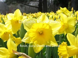 Daffodils Music Video Rosie, Lucy, Derek and Olivia 