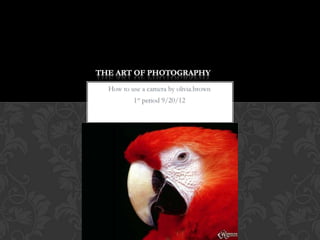 THE ART OF PHOTOGRAPHY
 