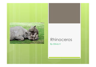 Rhinoceros
By Olivia V
 