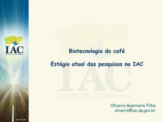 Biotecnologia do café

Estágio atual das pesquisas no IAC




                      Oliveiro Guerreiro Filho
                        oliveiro@iac.sp.gov.br
 