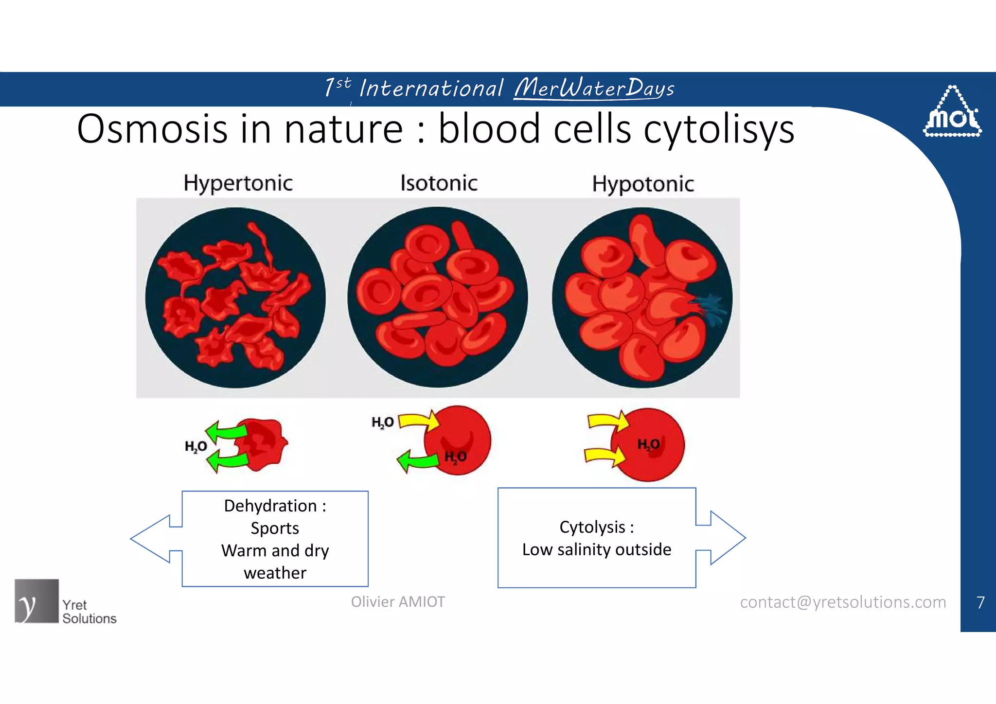 Osmosis in nature : blood cells cytolisys
contact@yretsolutions.comOlivier AMIOT 7
Dehydration :
Sports
Warm and dry
weather
Cytolysis :
Low salinity outside
 