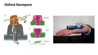 Oxford Nanopore
 