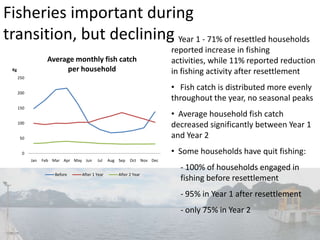 Fisheries important during
transition, but declining• Year 1 - 71% of resettled households
reported increase in fishing
activities, while 11% reported reduction
in fishing activity after resettlement
• Fish catch is distributed more evenly
throughout the year, no seasonal peaks
• Average household fish catch
decreased significantly between Year 1
and Year 2
• Some households have quit fishing:
- 100% of households engaged in
fishing before resettlement
- 95% in Year 1 after resettlement
- only 75% in Year 2
0
50
100
150
200
250
Jan Feb Mar Apr May Jun Jul Aug Sep Oct Nov Dec
Kg
Average monthly fish catch
per household
Before After 1 Year After 2 Year
 