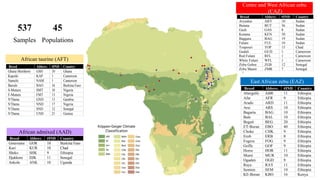 The mosaic genome of African cattle: A unique adaptive genetic resource