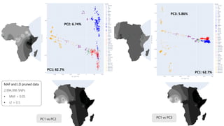 The mosaic genome of African cattle: A unique adaptive genetic resource