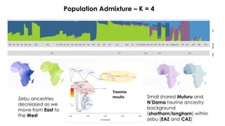 The mosaic genome of African cattle: A unique adaptive genetic resource