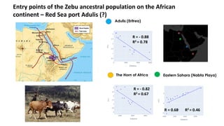 The mosaic genome of African cattle: A unique adaptive genetic resource