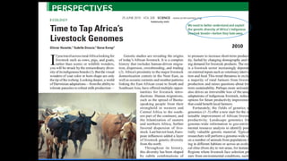 The mosaic genome of African cattle: A unique adaptive genetic resource