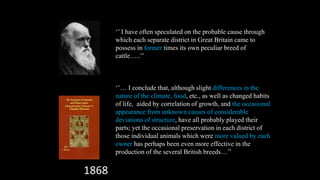The mosaic genome of African cattle: A unique adaptive genetic resource