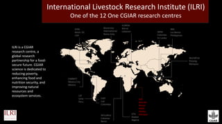 The mosaic genome of African cattle: A unique adaptive genetic resource