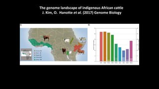 The mosaic genome of African cattle: A unique adaptive genetic resource