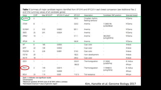 The mosaic genome of African cattle: A unique adaptive genetic resource