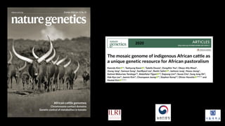 The mosaic genome of African cattle: A unique adaptive genetic resource