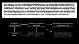 The mosaic genome of African cattle: A unique adaptive genetic resource