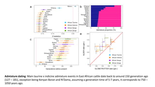 The mosaic genome of African cattle: A unique adaptive genetic resource