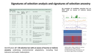 The mosaic genome of African cattle: A unique adaptive genetic resource