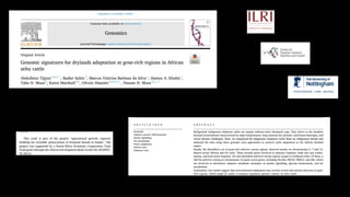 The mosaic genome of African cattle: A unique adaptive genetic resource
