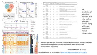 The mosaic genome of African cattle: A unique adaptive genetic resource