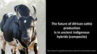 The mosaic genome of African cattle: A unique adaptive genetic resource